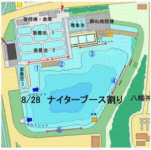 �u�[�X����i�C�^�[5 �R�s�[