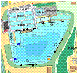 �i�C�^�[�u�[�X���� �R�s�[.JPG